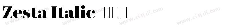 Zesta Italic字体转换